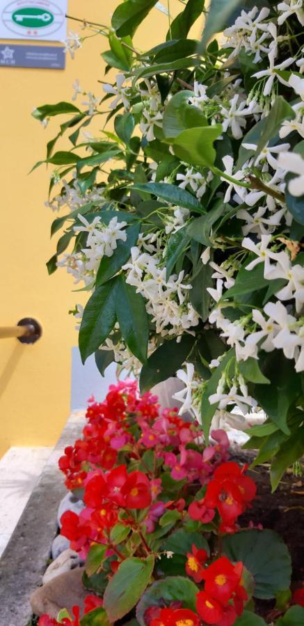 Mediterranean Concept House Hotel La Spezia Exterior photo